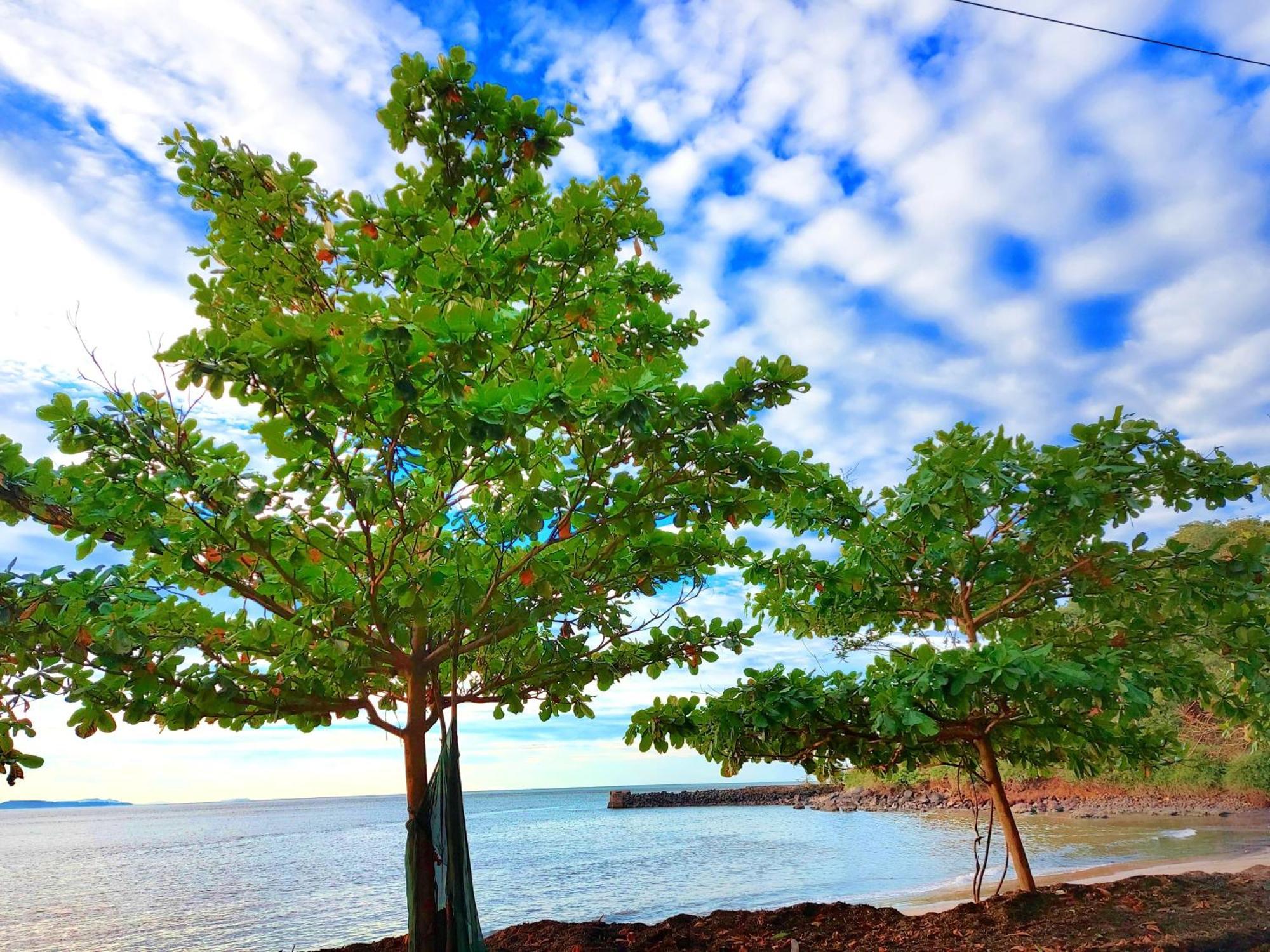 Navni Beach View Stay Gokarna  Buitenkant foto